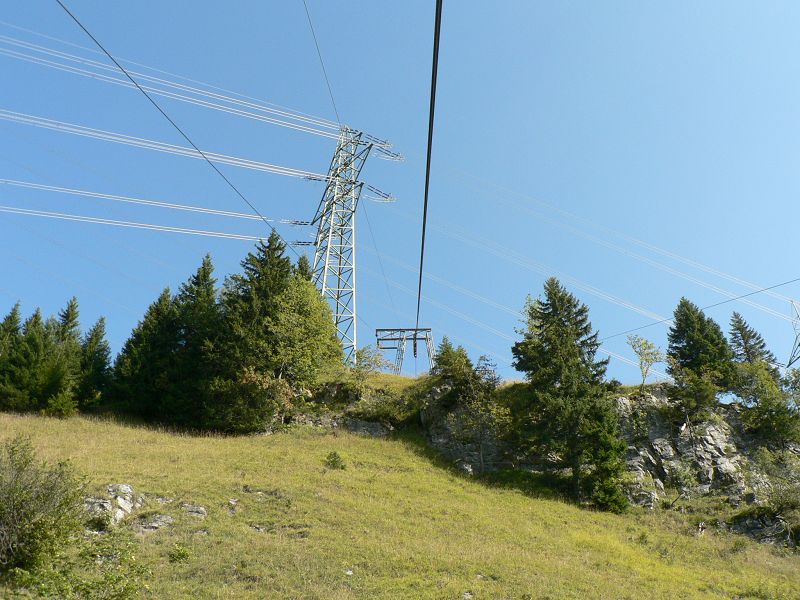 k-P1140555.JPG