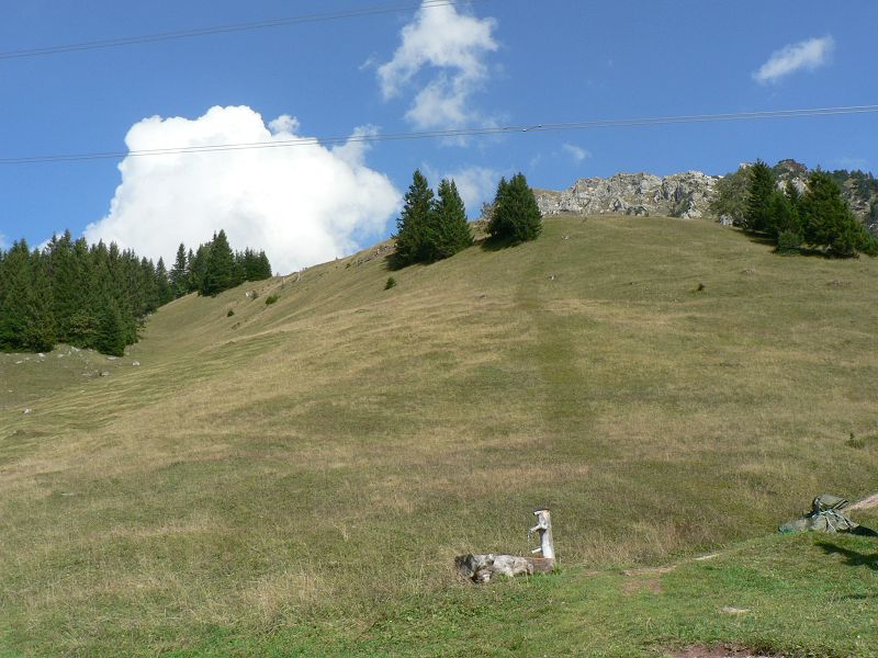 k-P1140588.JPG