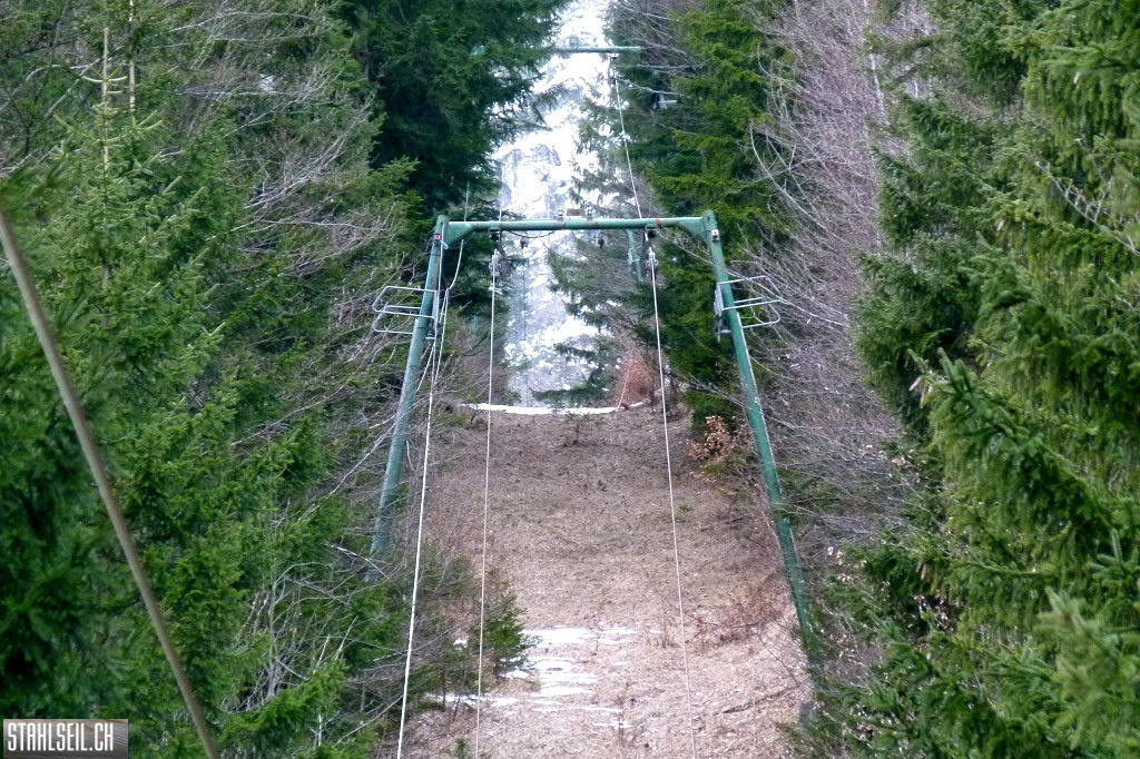 k-P1650425.JPG