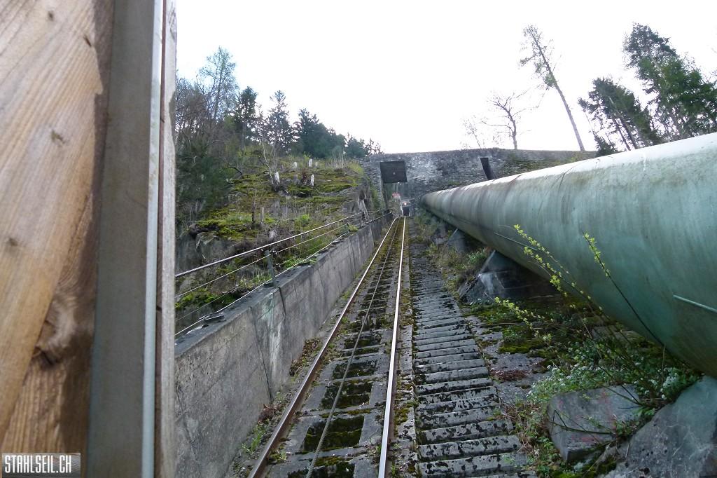 k-P1660369.JPG