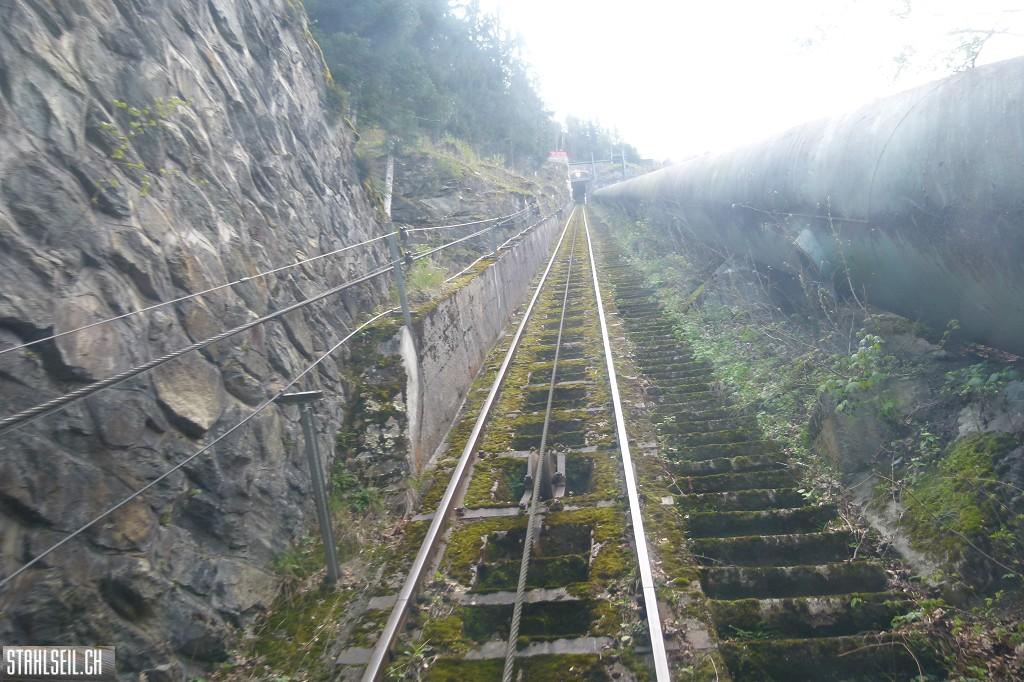 k-P1660372.JPG