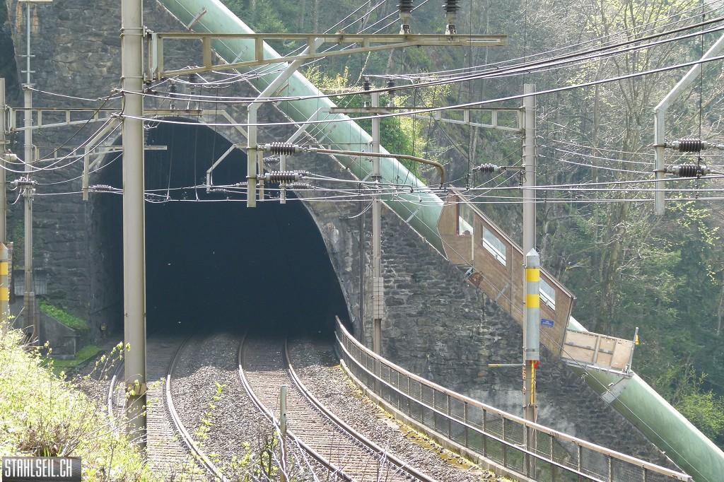 k-P1660585.JPG