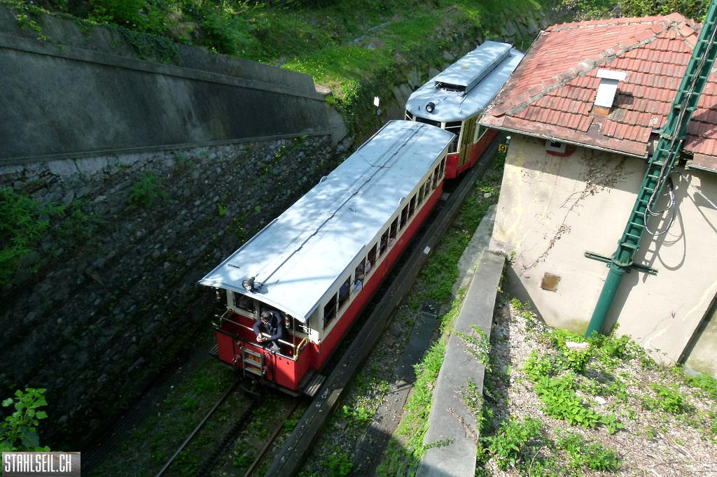 k-P1660690.JPG