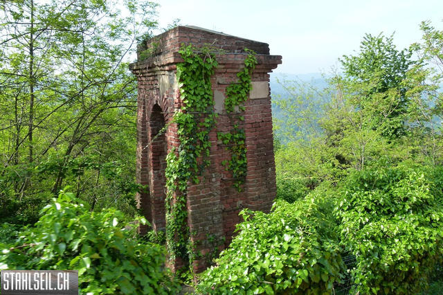 k-P1660753.JPG