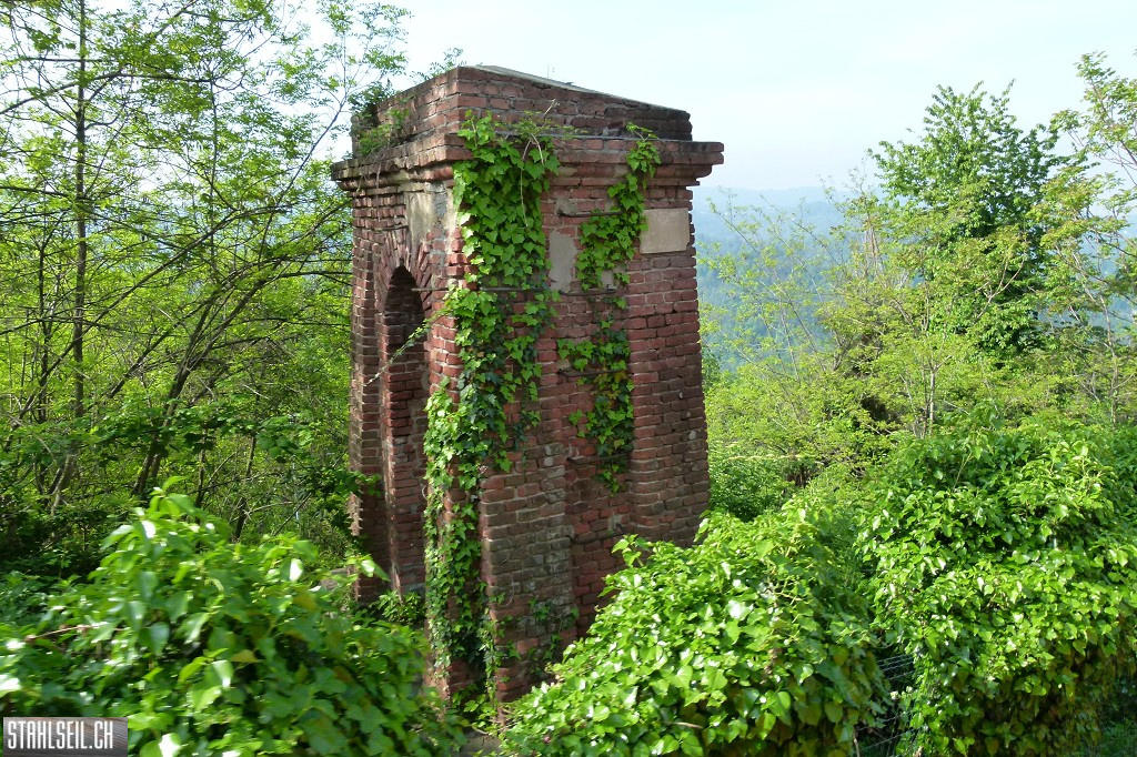k-P1660753.JPG