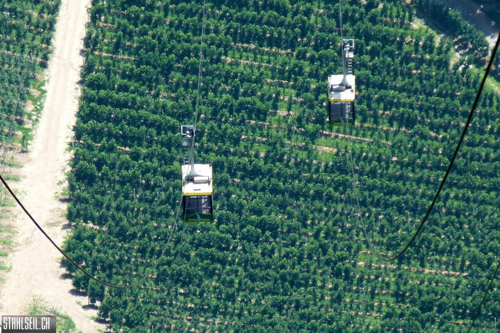 k-P1680261.JPG