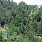 k-DSC05731.JPG
