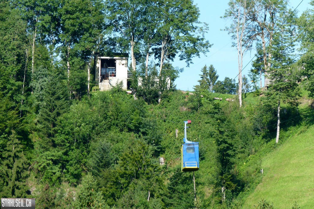 k-P1680608.JPG