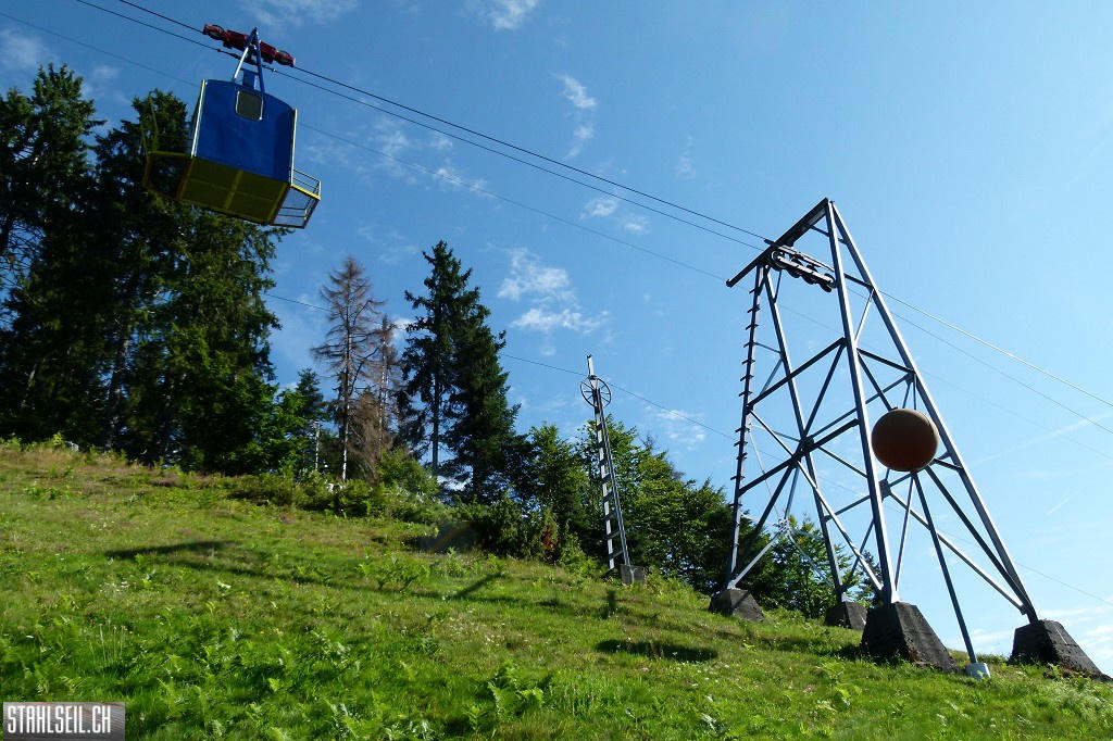 k-P1680611.JPG