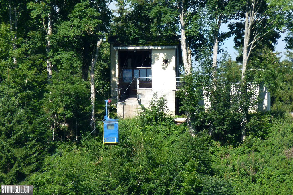 k-P1680633.JPG