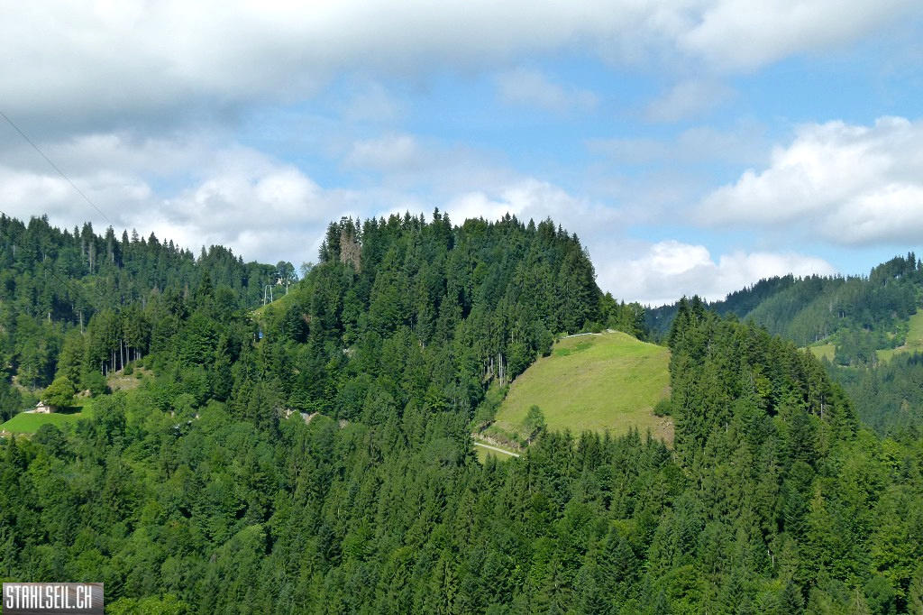 k-P1680664.JPG