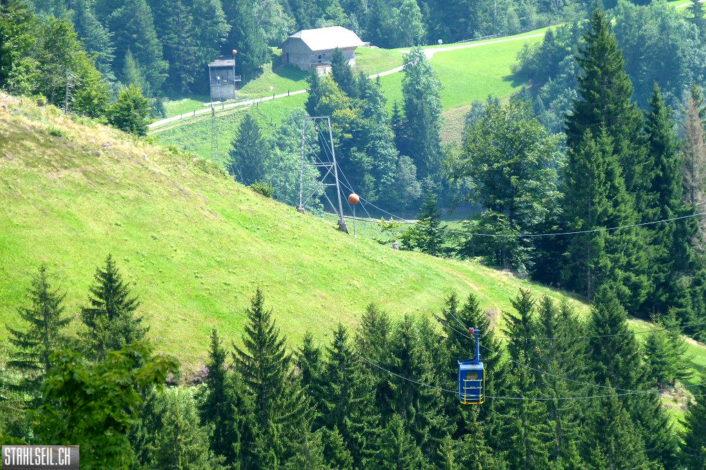 k-P1680708.JPG