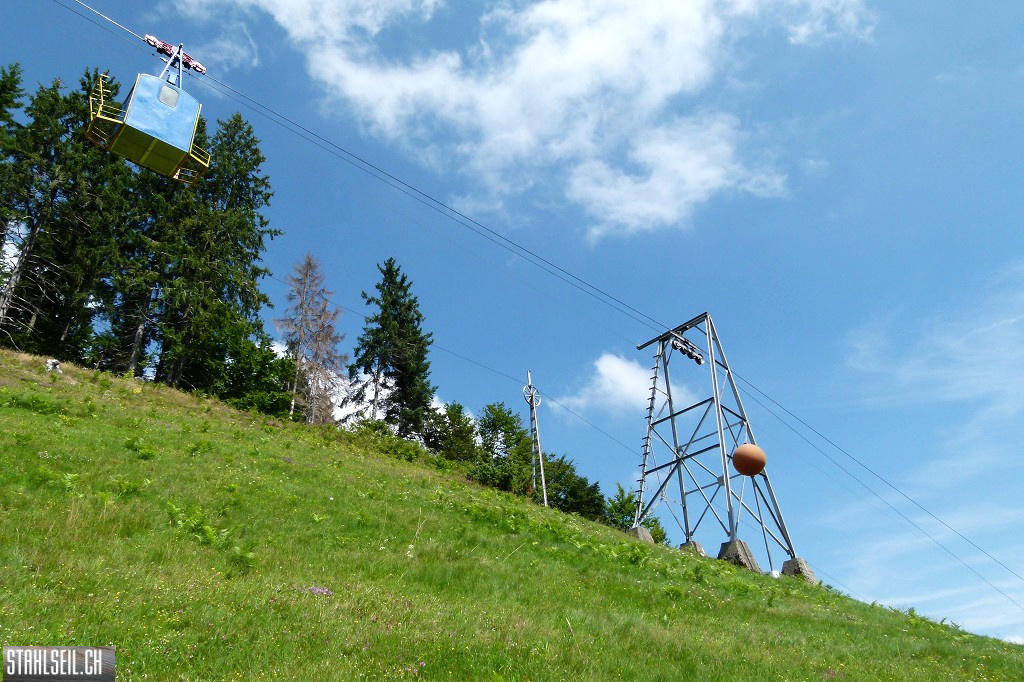 k-P1680716.JPG