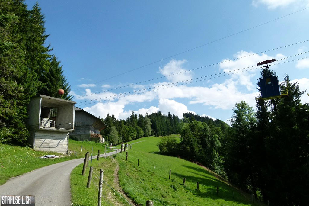 k-P1680799.JPG