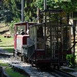 k-DSC05594.JPG