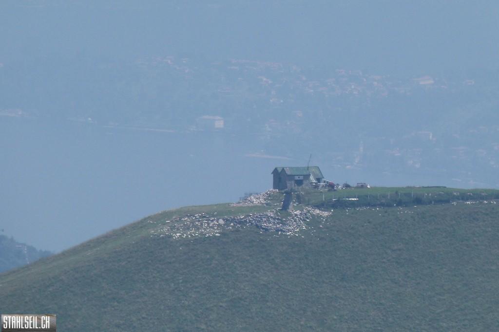 k-P1680582.JPG
