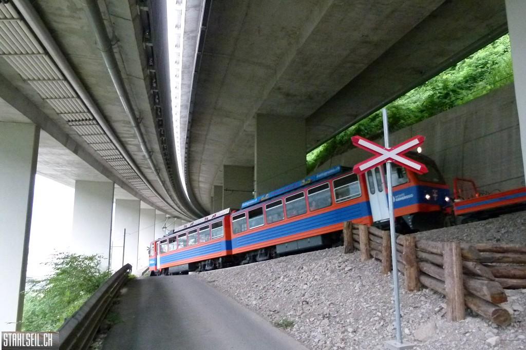 k-P1680594.JPG