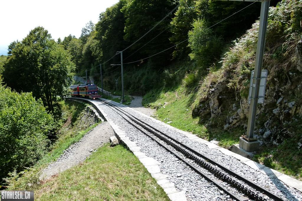 k-P1680930.JPG