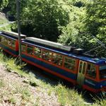 k-DSC03827.JPG