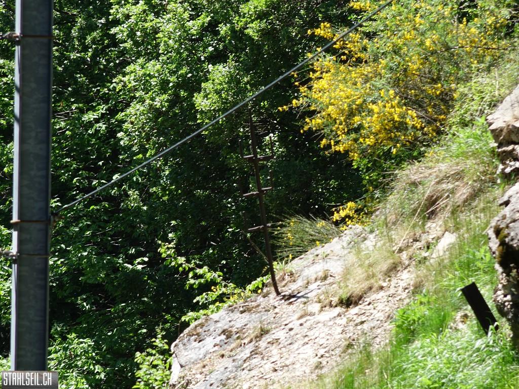 k-DSC03866.JPG