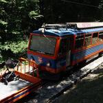 k-DSC03876.JPG