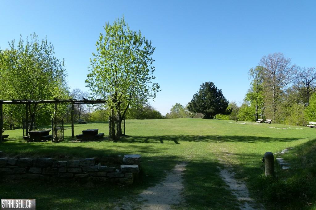 k-P1660959.JPG