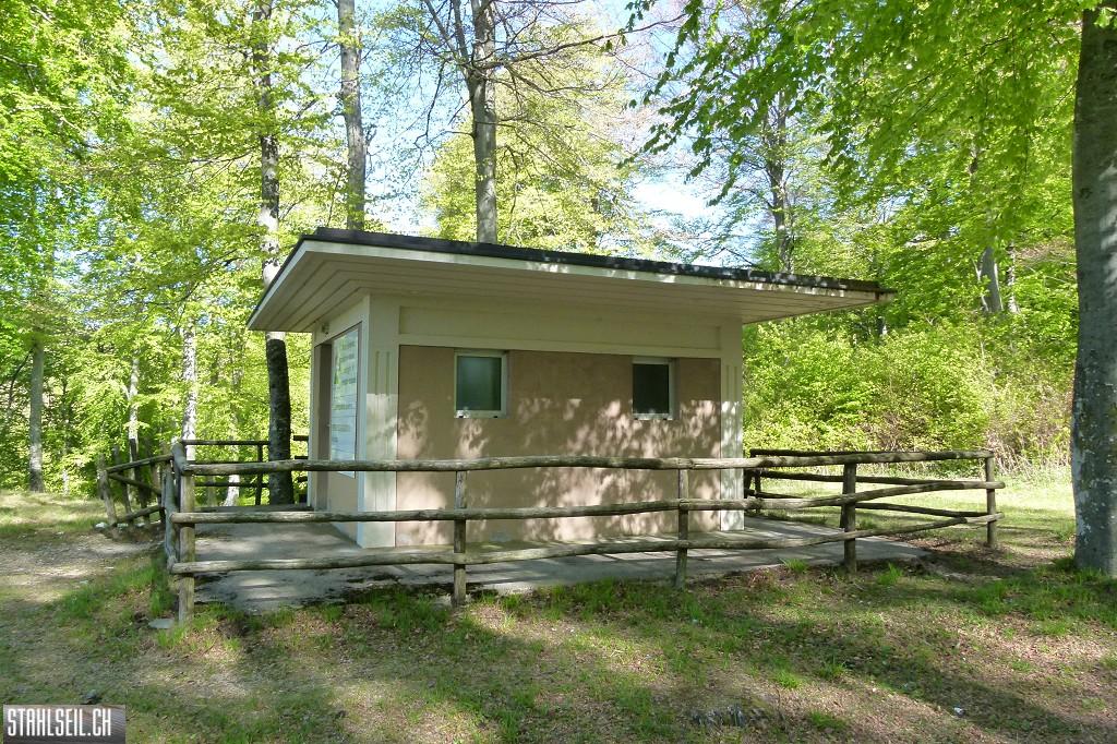 k-P1660963.JPG