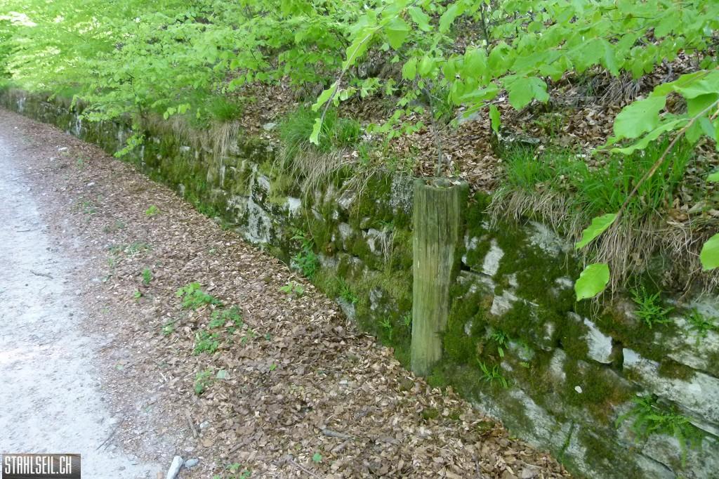 k-P1660967.JPG