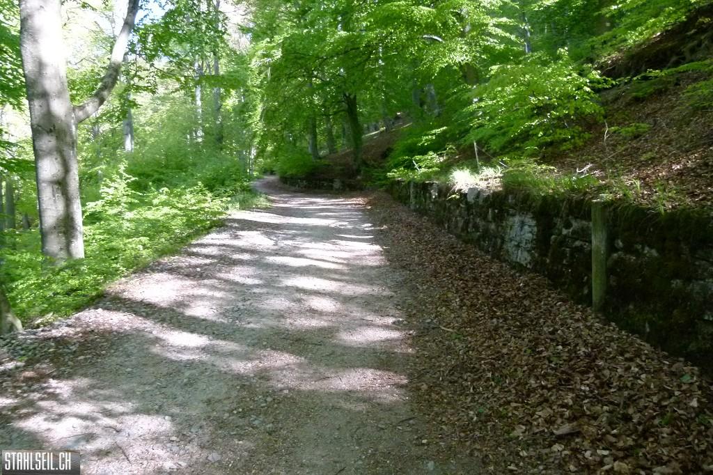 k-P1660968.JPG
