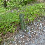 k-P1660970.JPG