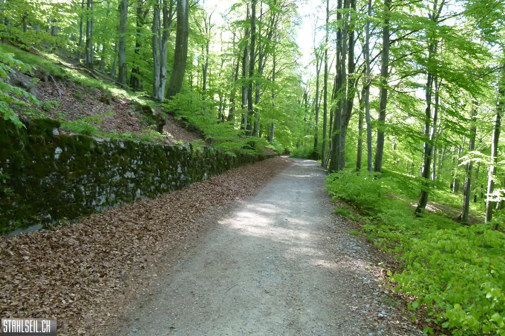 k-P1660971.JPG