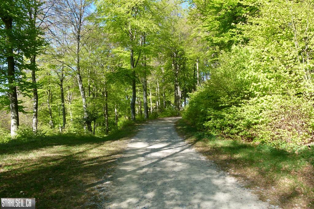 k-P1660973.JPG