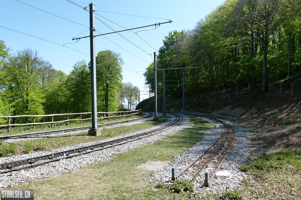 k-P1670305.JPG