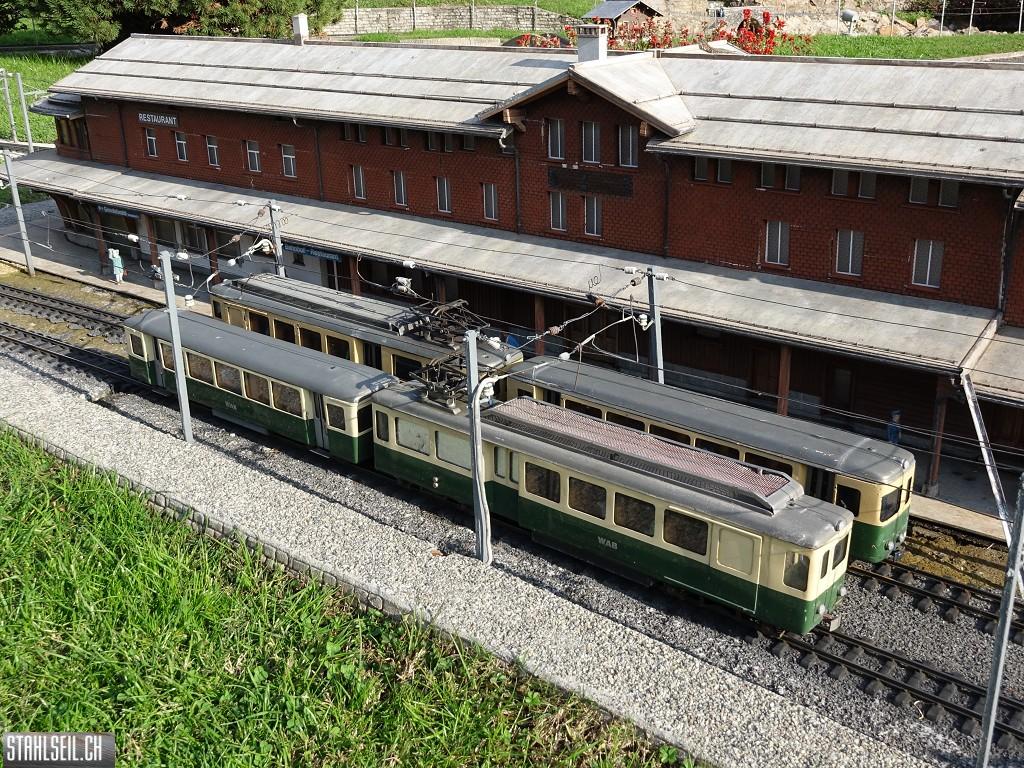 k-DSC06324.JPG