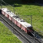 k-DSC06368.JPG