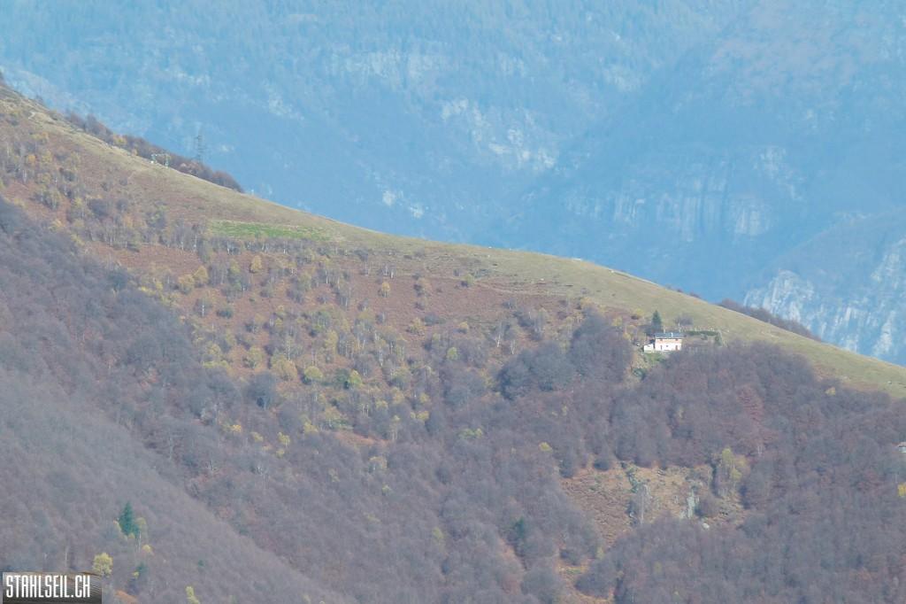 k-P1710123.JPG