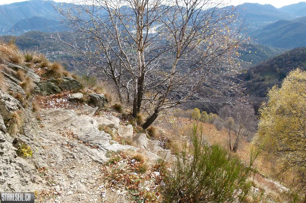 k-P1710189.JPG