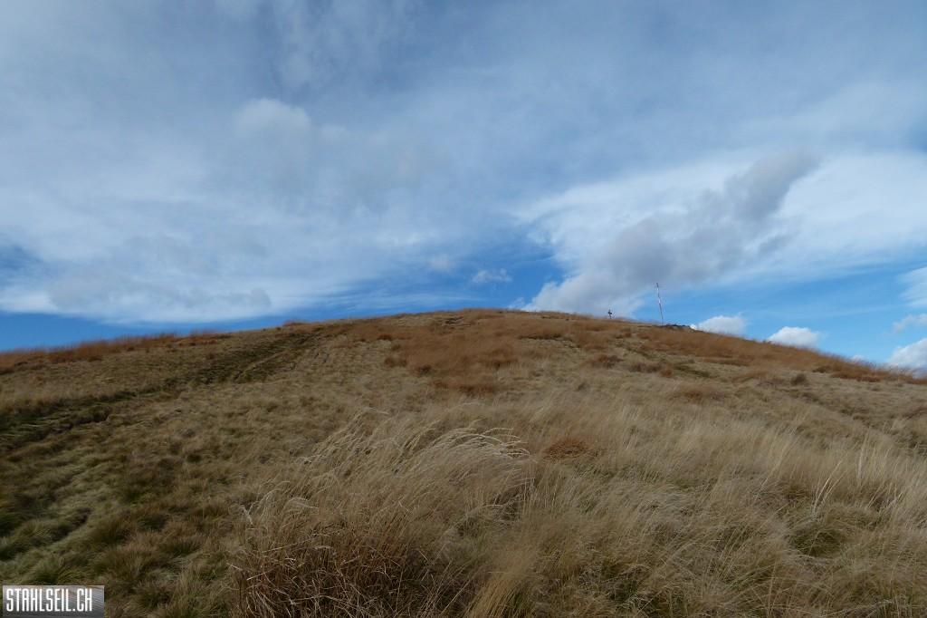 k-P1710309.JPG