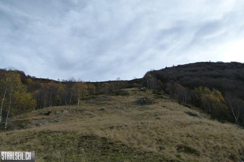 k-P1710055.JPG