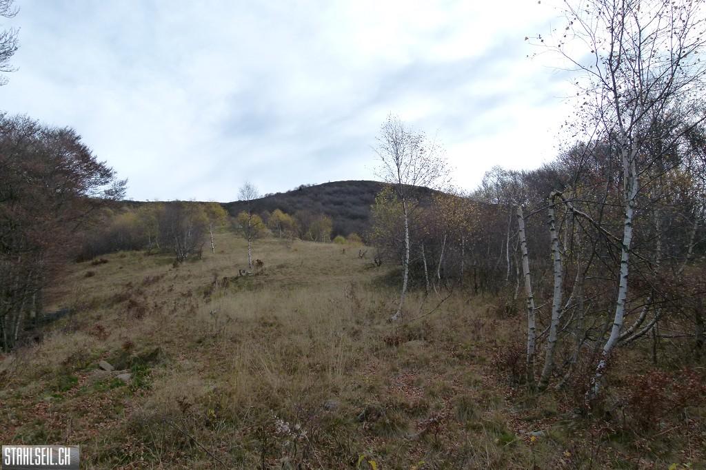 k-P1710070.JPG