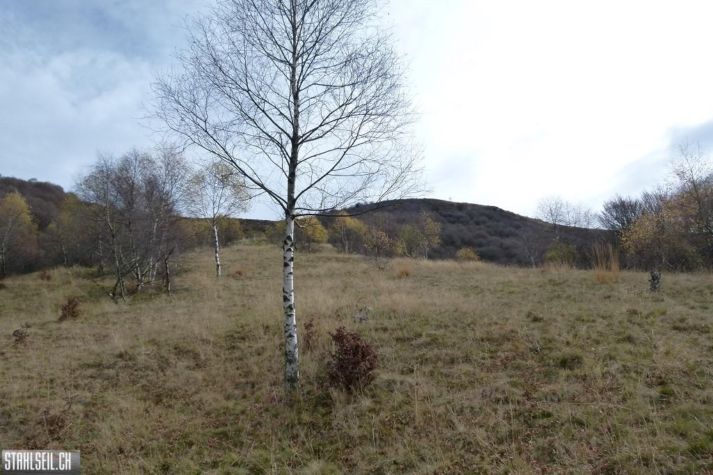 k-P1710096.JPG