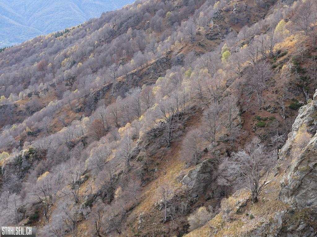 k-DSC06544.JPG