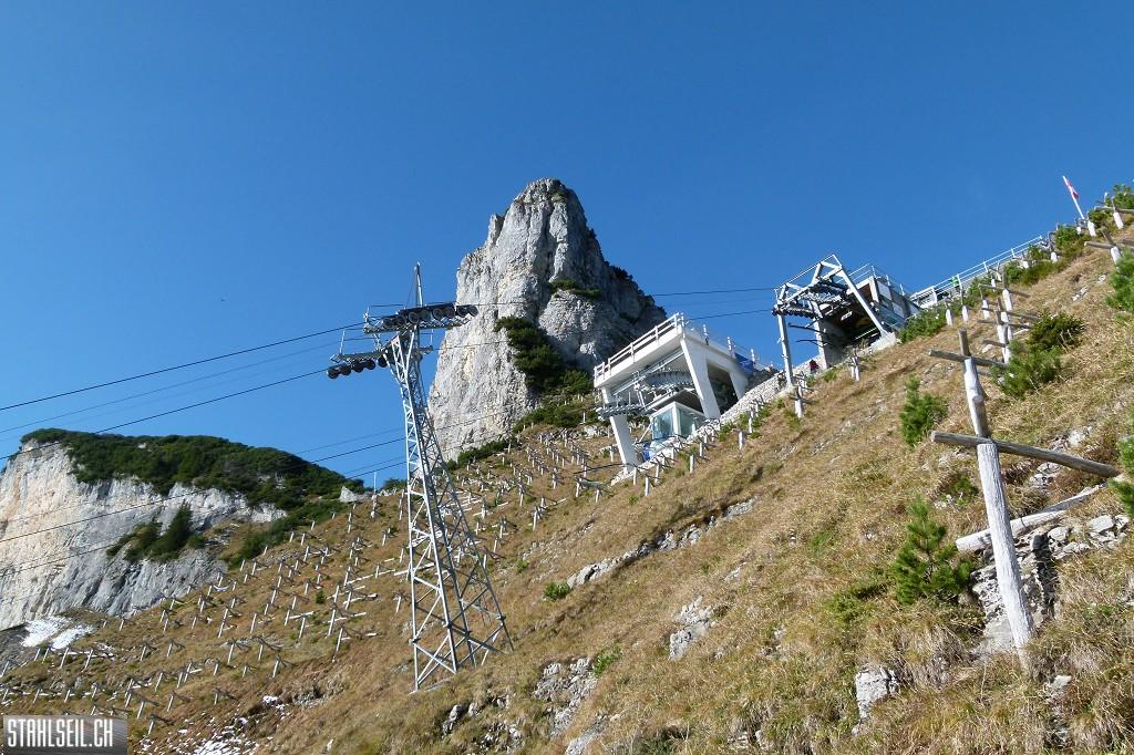 k-P1710368.JPG
