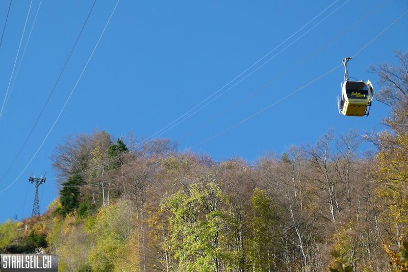 k-P1710479.JPG