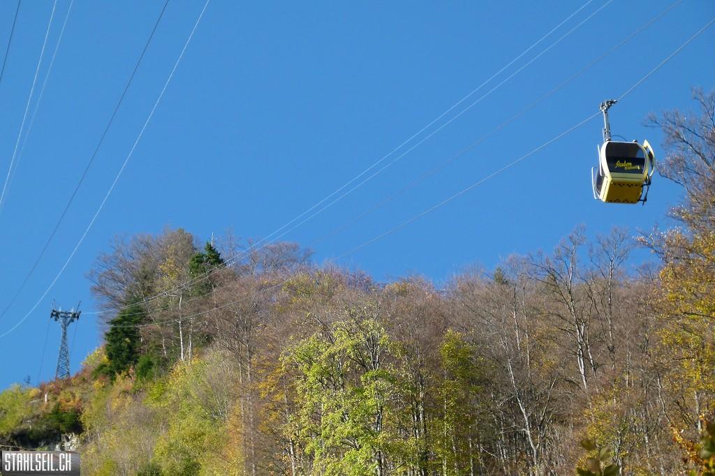 k-P1710479.JPG