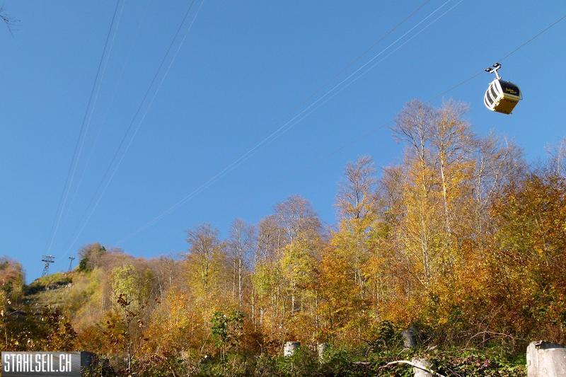 k-P1710490.JPG
