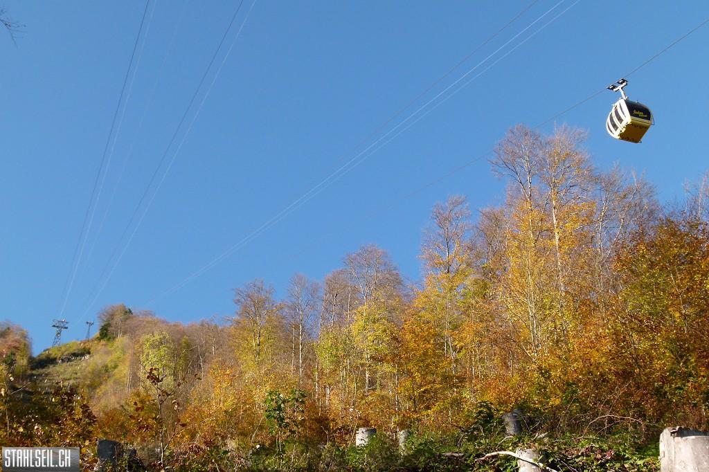 k-P1710490.JPG