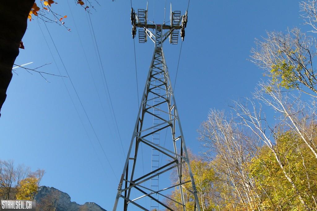 k-P1710500.JPG