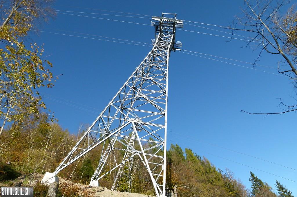 k-P1710515.JPG