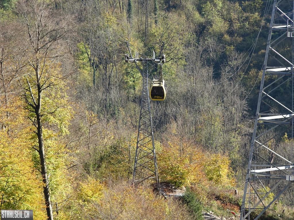 k-DSC06830.JPG
